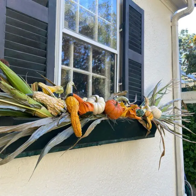 Festive Outdoor Window Box Decoration