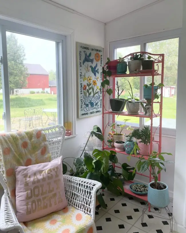 Lively Boho Sunroom with Greenery