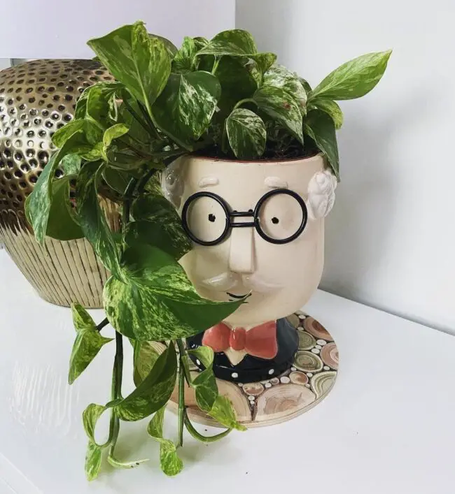 Creative Planter with Playful Touch