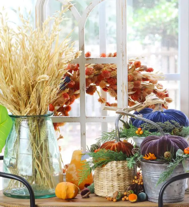 Bright and Vibrant Fall Window Showcase