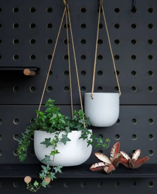 Elevated Greenery with Hanging Beauties