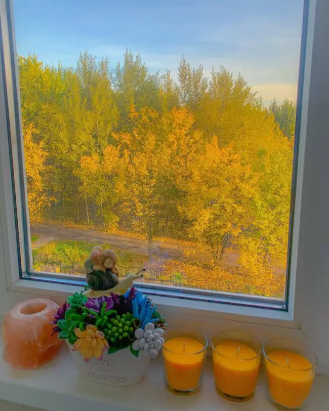 Serene Fall-Inspired Window Display