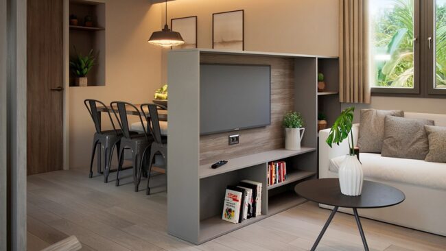 Functional Living-Dining Partition