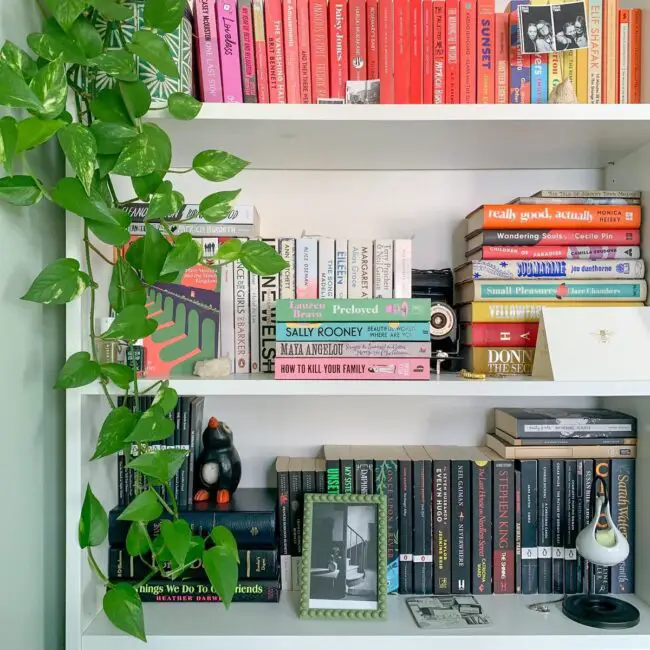 Vibrant and Eclectic Bookshelf