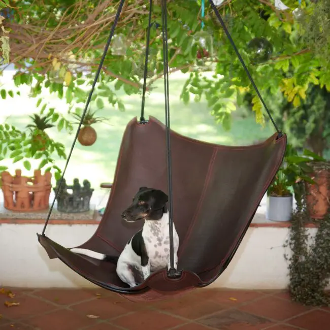 Leather Hammock Relaxation