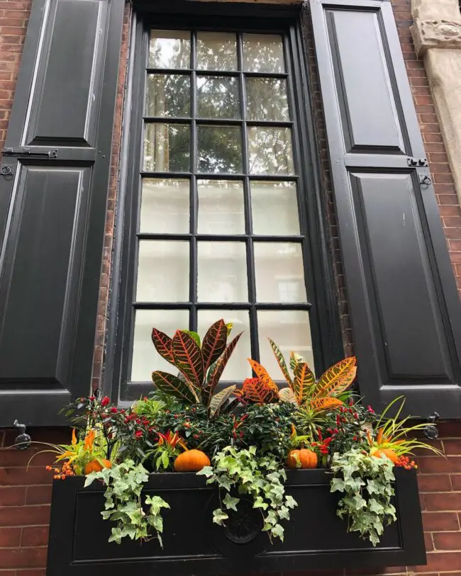 Elegant Fall Window Planter Arrangement