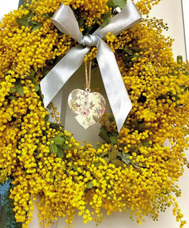 Bright Yellow Mimosa Wreath with Silver Bow