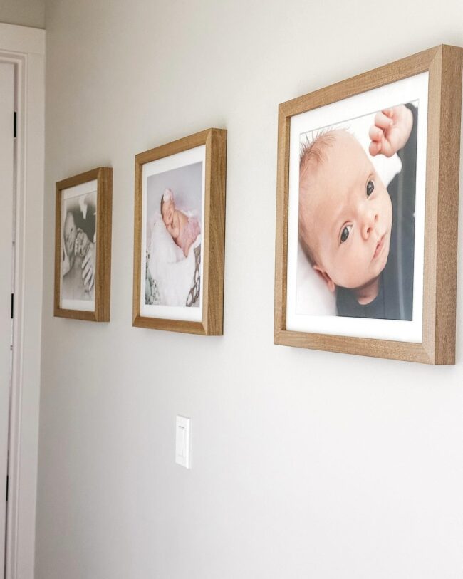 Adorable Newborn Photo Triptych