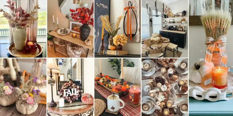 Best Fall Decor Ideas