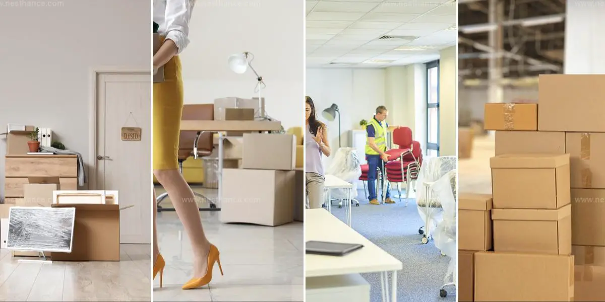 Making an Office Move Smooth and Stress-Free