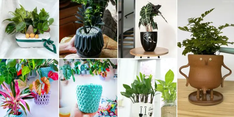 Best Houseplant Pot Ideas