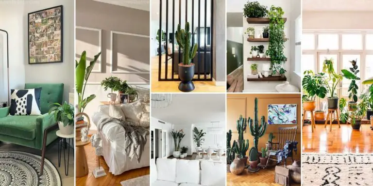 Best Houseplant Decor Ideas